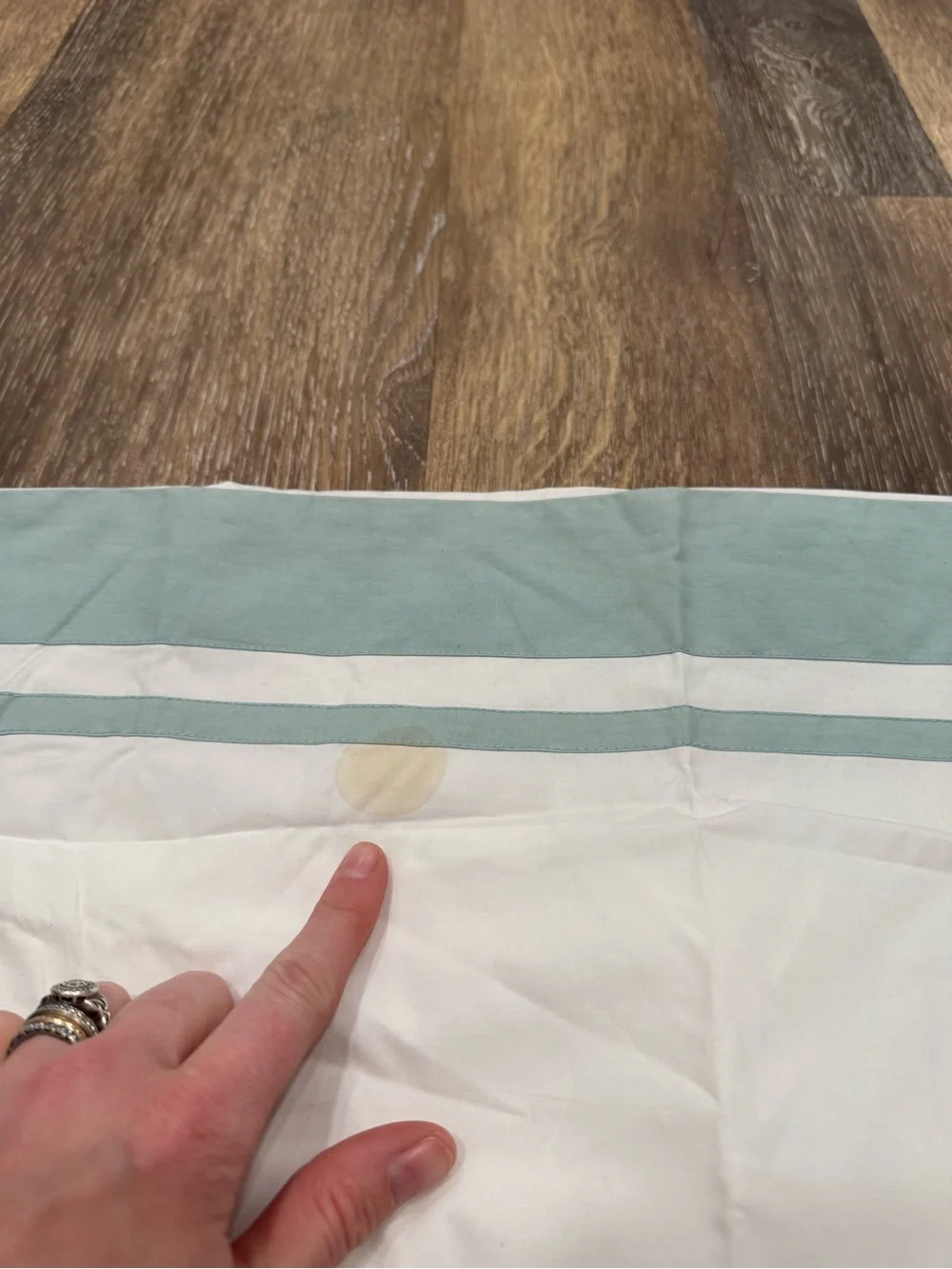 NWT, Pottery Barn- Parker Organic Percale Sham, Euro, SEA GLASS (*READ*)